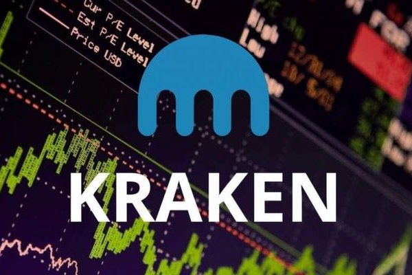 Kraken 24 top