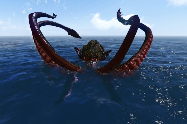 Kraken 17 at net